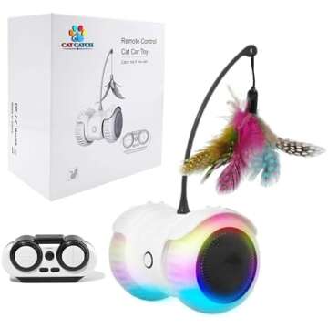 Manchego's Must Haves