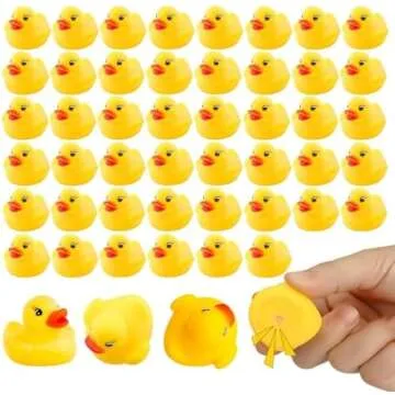 Kitchen and Cooking Needs