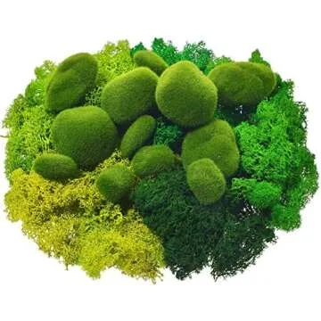 Moss Decor