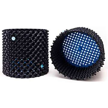 Propagation - Air Layer / Cutting / Seedling