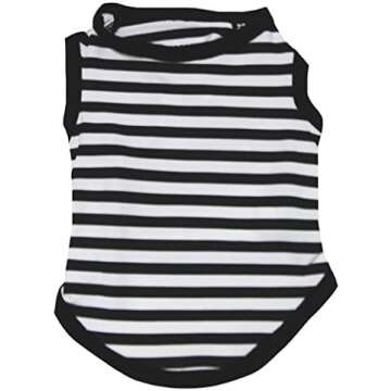 Imagination Wardrobe