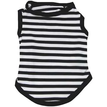 Imagination Wardrobe