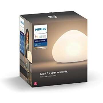 Philips Hue Lighting Setup