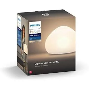 Philips Hue Lighting Setup
