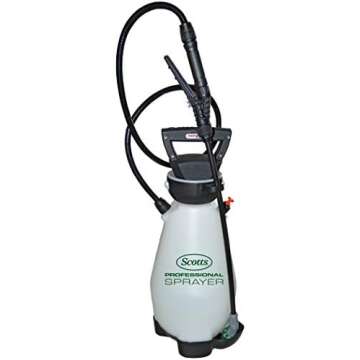 Around the House / Pool