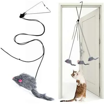 Cat Toys