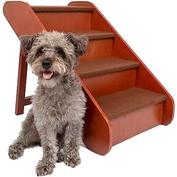 Studio Apartment Dog Essentials