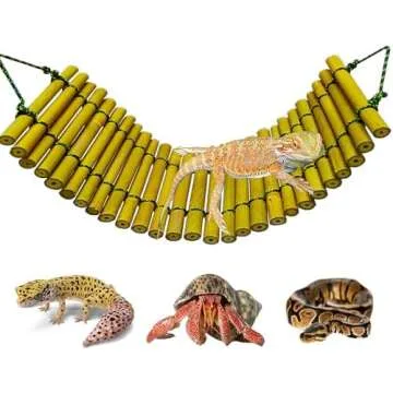 Things I use for my crested gecko💚