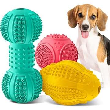 Treat Dispensers & Chew Toys