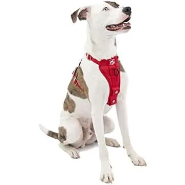 Dog Road Trip Essentials