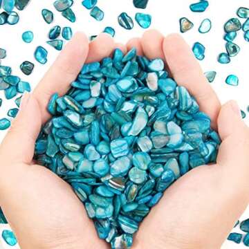 Ocean Shells and Inserts