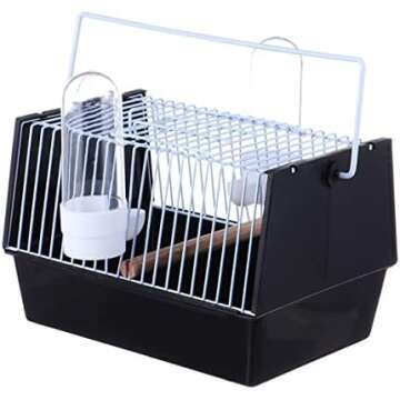 Budgie Ownership Essentials