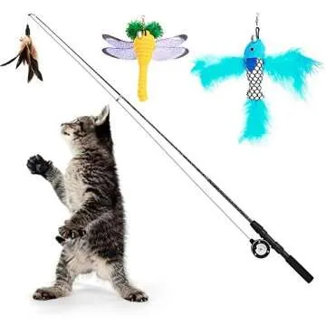Cat Toys