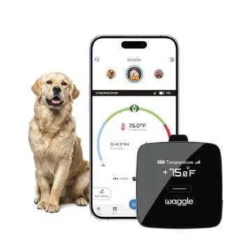 Mickey & Baileys Favorite Dog RV Gear