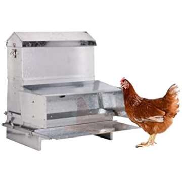 Chicken Feed & Water