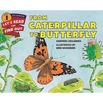 Butterflies and Butterfly Life Cycle