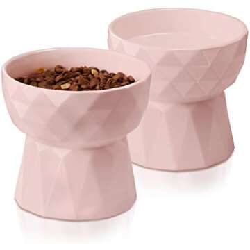 Cat Mom🐈‍⬛💕