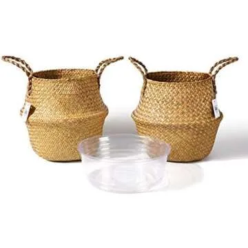 Indoor Plant Containers