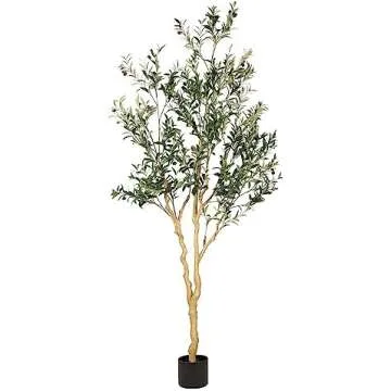 Amazon home favorites