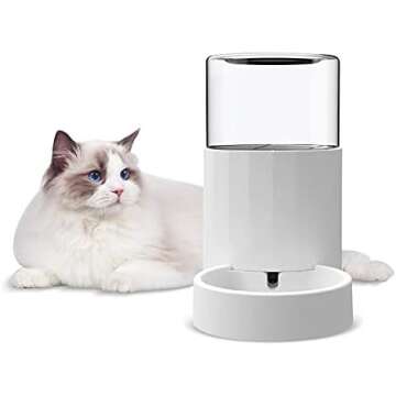 Cat Supplies (toys, home supplies, etc)