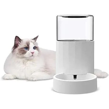 Cat Supplies (toys, home supplies, etc)