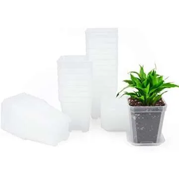 Clear Pots