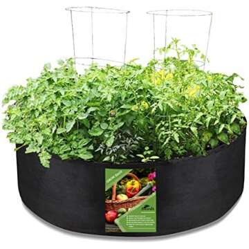 Grow your own Vegetables