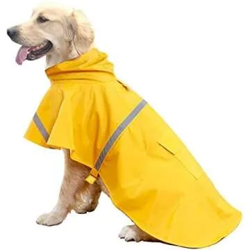 Dog Clothes and Costumes