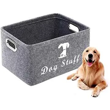 Home is where the dog is