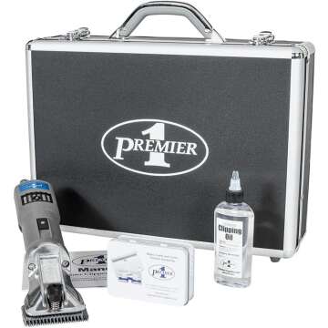 Getting Started In Clipping