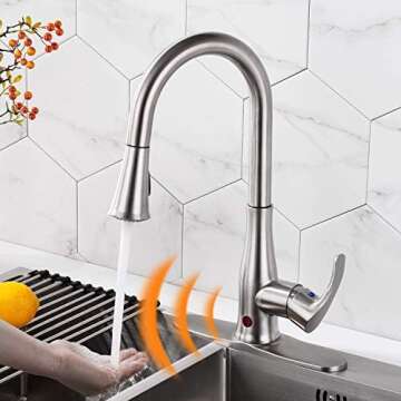 Sanitation for the Home