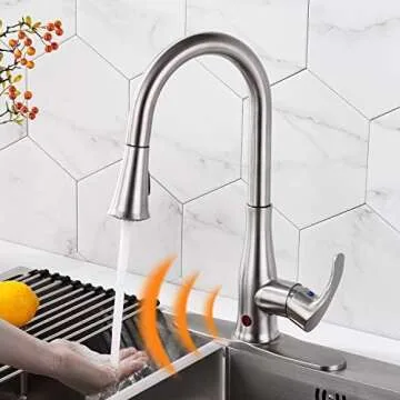 Sanitation for the Home