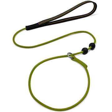 Everything you need when you newly purchased a puppy