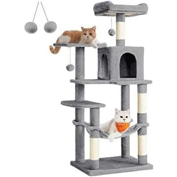 Cat Toys/supplies