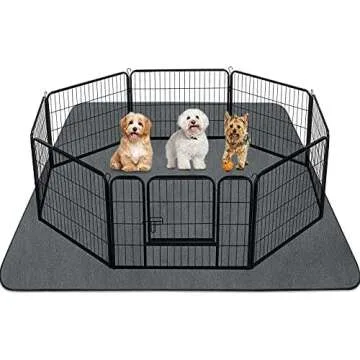 Doodle's apartment list