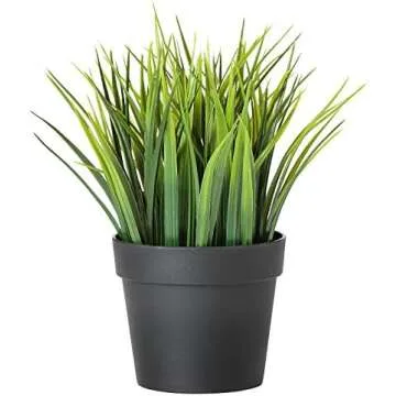 👩🏼‍🏫💕🪴Classroom Decor