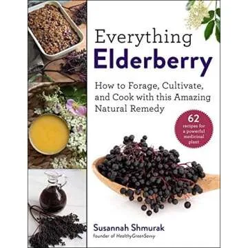 Elderberry Syrup Recipe + Supplies