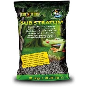 The Best Tools and Supplies for Spider Plant Lovers