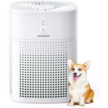 Everyday Necessities