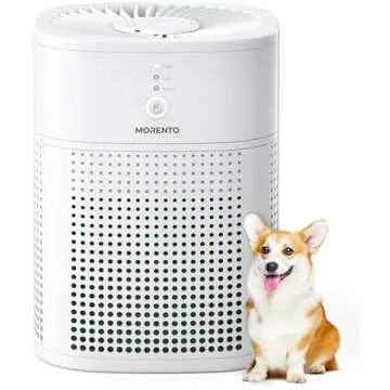 Everyday Necessities