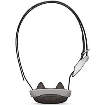 Collars for your dog