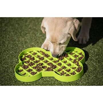 Dog puzzle toys