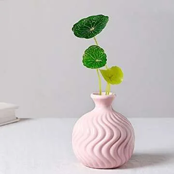 Everything PINK💕💅🏼👛