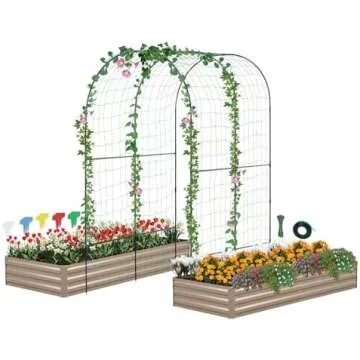 Raised Bed Gardening