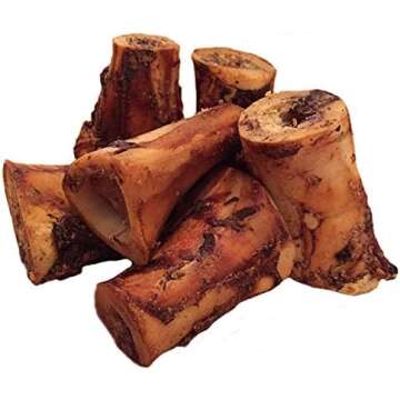 Best Dog Bones for Aggressive Chewers