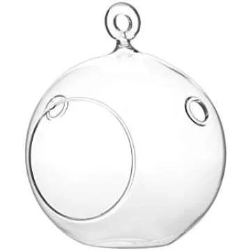 Air Plant Essesntials