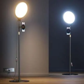 Organization and Storage