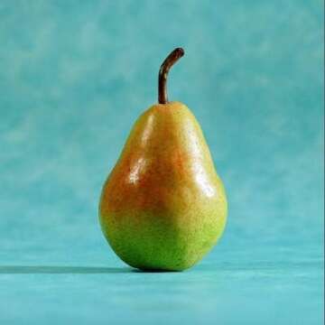 Live Garden Plants and Seeds