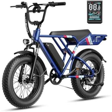 Fat Tire eBike with Cargo Racks