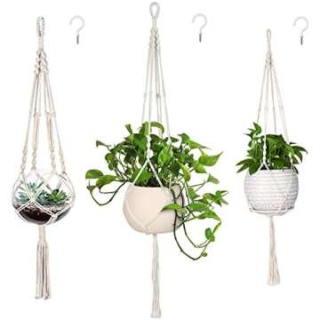 Houseplant Essentials